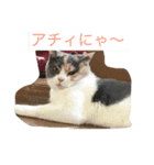 花音と花鈴（個別スタンプ：4）