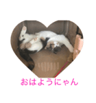 花音と花鈴（個別スタンプ：7）