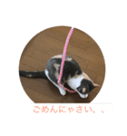 花音と花鈴（個別スタンプ：8）