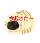 猫太のつぶやき③（個別スタンプ：18）