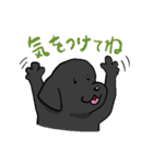 ラブラドールレトリーバーなチョビ（個別スタンプ：3）