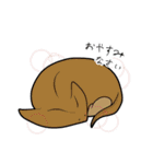でぃぷろちゃんと歩む古生代（個別スタンプ：3）