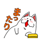 雑種犬シロの生活（個別スタンプ：17）