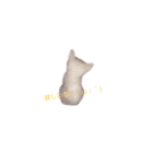 こたろうの成長（個別スタンプ：2）