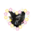 黒子猫のチョコちゃんです（個別スタンプ：11）