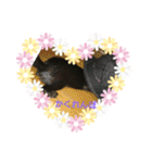黒子猫のチョコちゃんです（個別スタンプ：16）