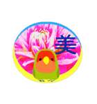 天地日乗 with コザクラインコ（個別スタンプ：12）