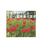 呟きメッセージスタンプ（個別スタンプ：1）