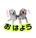ふぅちゃんとお友達（個別スタンプ：1）