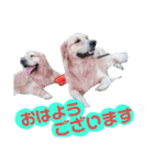 ふぅちゃんとお友達（個別スタンプ：3）