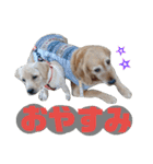 ふぅちゃんとお友達（個別スタンプ：8）