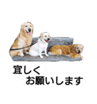 ふぅちゃんとお友達（個別スタンプ：13）