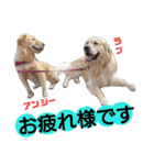 ふぅちゃんとお友達（個別スタンプ：19）