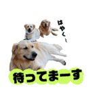 ふぅちゃんとお友達（個別スタンプ：20）