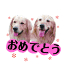 ふぅちゃんとお友達（個別スタンプ：21）