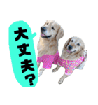 ふぅちゃんとお友達（個別スタンプ：24）