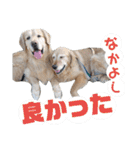 ふぅちゃんとお友達（個別スタンプ：26）