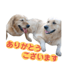 ふぅちゃんとお友達（個別スタンプ：28）