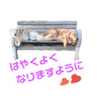 ふぅちゃんとお友達（個別スタンプ：35）