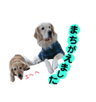 ふぅちゃんとお友達（個別スタンプ：36）