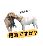 ふぅちゃんとお友達（個別スタンプ：38）
