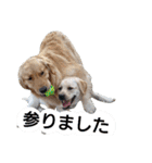 ふぅちゃんとお友達（個別スタンプ：39）