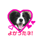 アレックスと一緒（個別スタンプ：6）