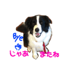 アレックスと一緒（個別スタンプ：9）
