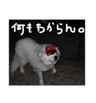 べあ①（個別スタンプ：9）