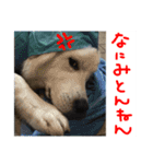 べあ①（個別スタンプ：10）