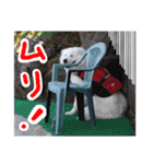 べあ①（個別スタンプ：11）