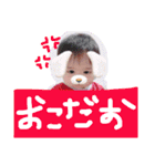 Bokudayo！！（個別スタンプ：7）