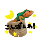フトアゴヒゲトカゲのこんぶ君（個別スタンプ：3）