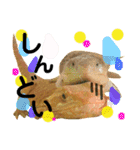 フトアゴヒゲトカゲのこんぶ君（個別スタンプ：11）