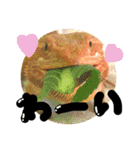 フトアゴヒゲトカゲのこんぶ君（個別スタンプ：19）