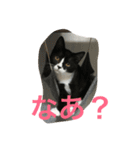 あおとあんずの日常2（個別スタンプ：2）