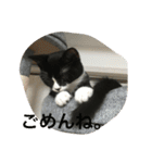 あおとあんずの日常2（個別スタンプ：4）