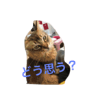 あおとあんずの日常2（個別スタンプ：10）