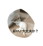 あおとあんずの日常2（個別スタンプ：18）