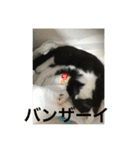 あおとあんずの日常2（個別スタンプ：20）