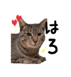 あもひふてん2（個別スタンプ：2）
