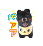 あもひふてん2（個別スタンプ：3）