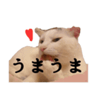 あもひふてん2（個別スタンプ：4）