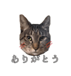 あもひふてん2（個別スタンプ：5）