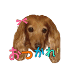 あもひふてん2（個別スタンプ：8）