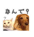 あもひふてん2（個別スタンプ：11）