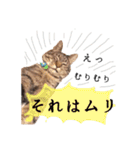 あもひふてん2（個別スタンプ：23）