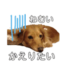 あもひふてん2（個別スタンプ：24）