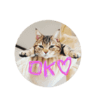 ひめもも（個別スタンプ：9）