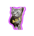 むーーうーた（個別スタンプ：2）